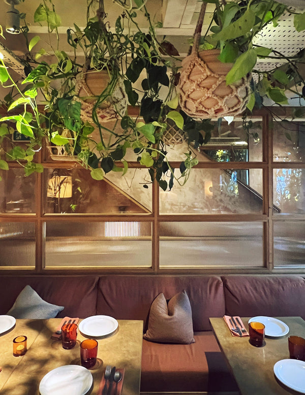 A stylish cosy interior setting with earthy toned seating, glass tableware, a large window and the ceiling hanging with macrame plant hangers and plants