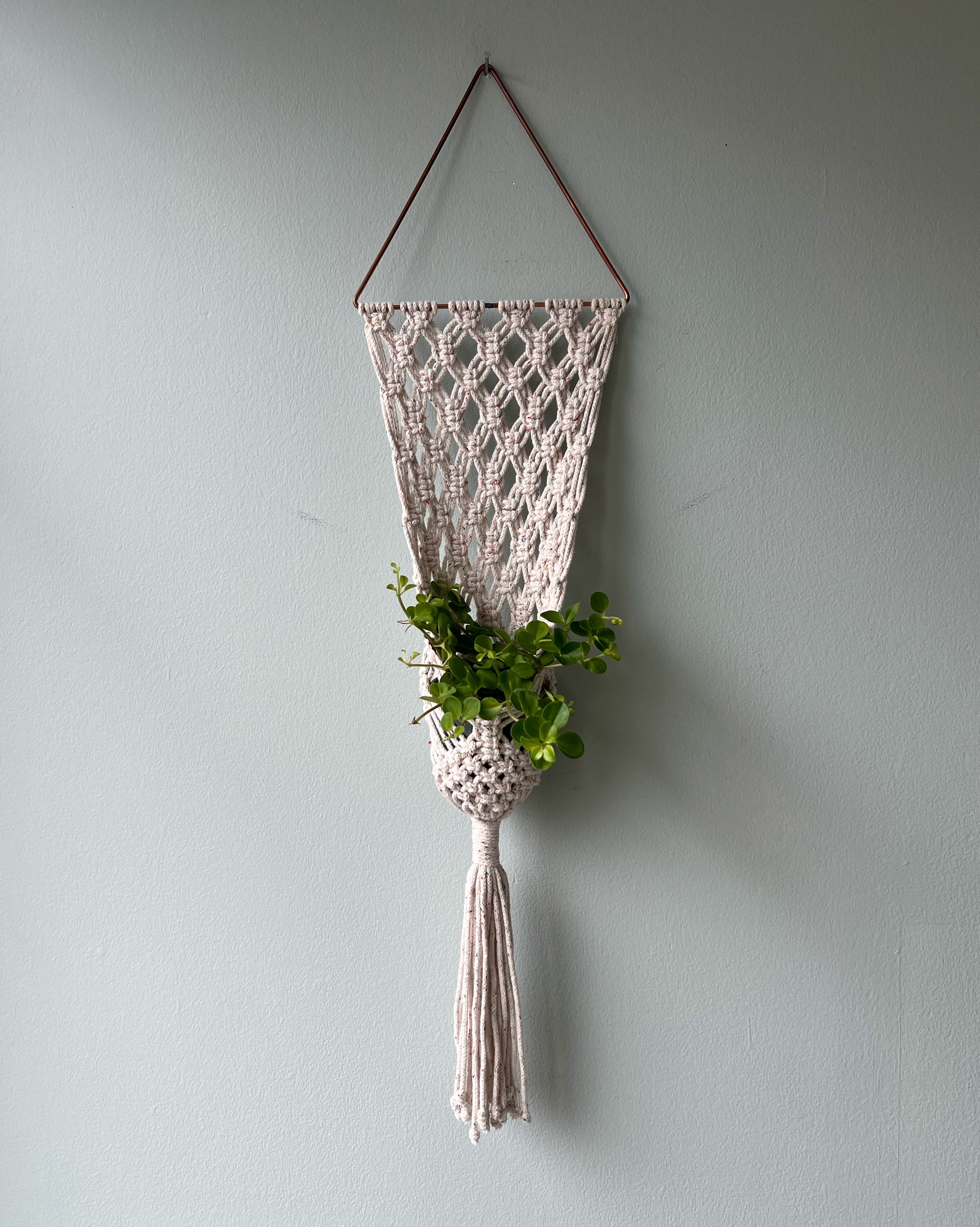 The Plant Hammock